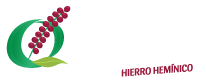 ferro quinua hierro heminico